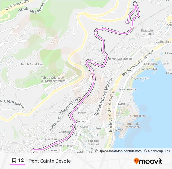 12 Bus Line Map