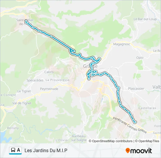 A Bus Line Map