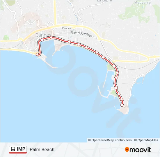 IMP Bus Line Map