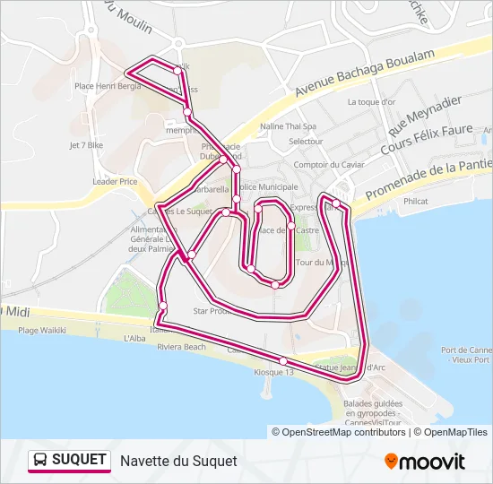 SUQUET Bus Line Map