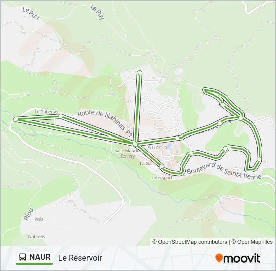NAUR Bus Line Map