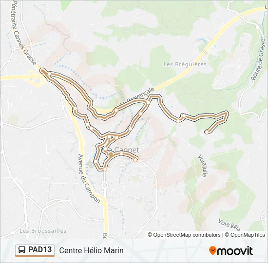 PAD13 Bus Line Map