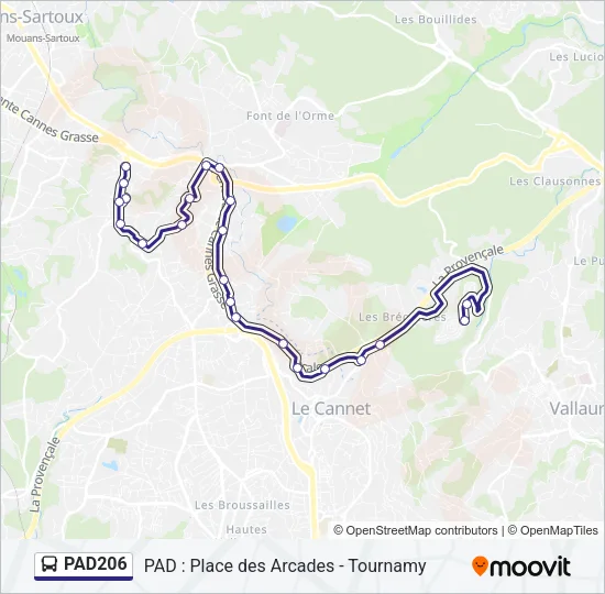 PAD206 Bus Line Map