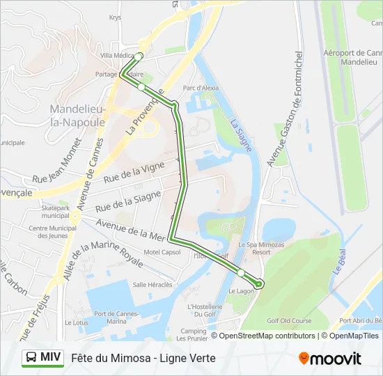 MIV Bus Line Map