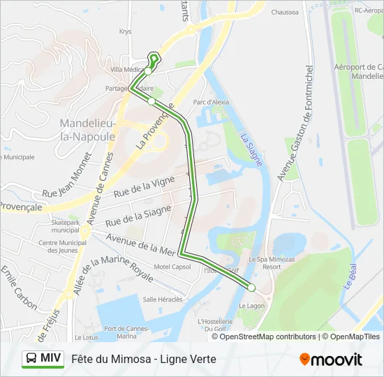 MIV Bus Line Map
