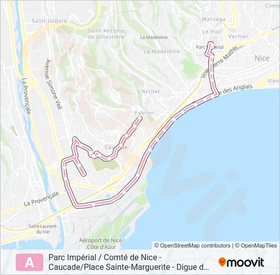 A Bus Line Map