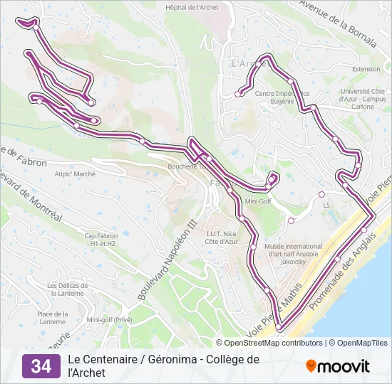 34 Bus Line Map