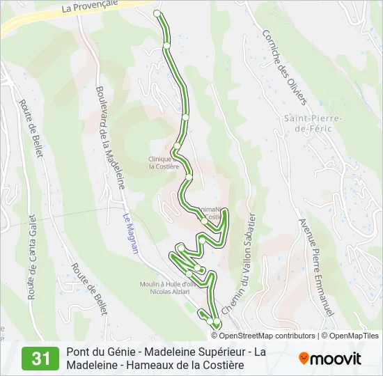 31 Bus Line Map