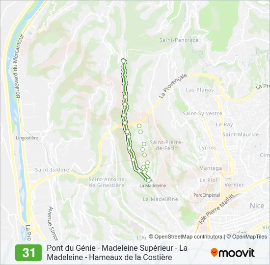 31 Bus Line Map