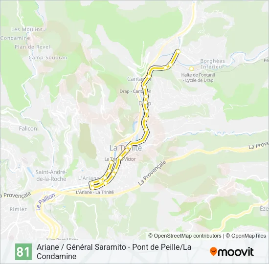 81 Bus Line Map