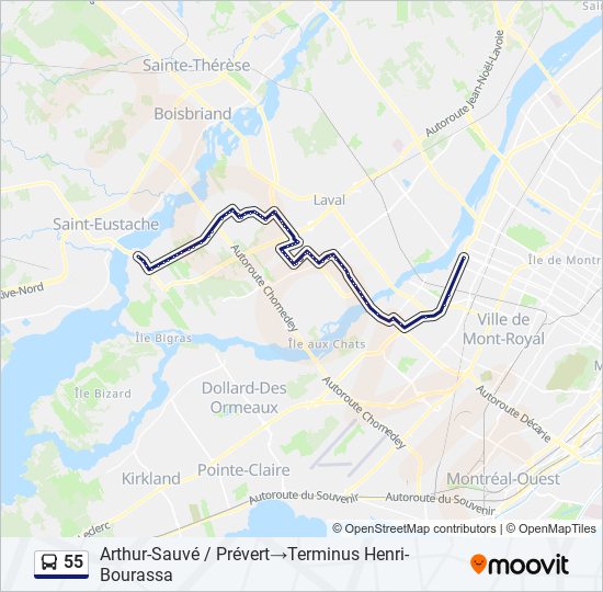 55 bus Line Map