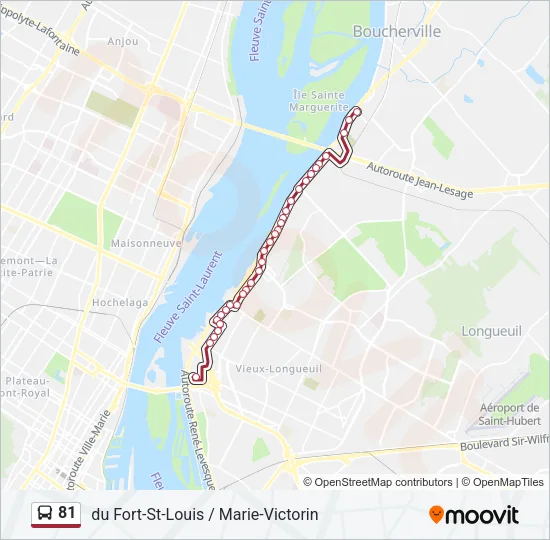 81 Bus Line Map