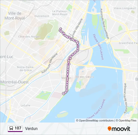 107 Bus Line Map