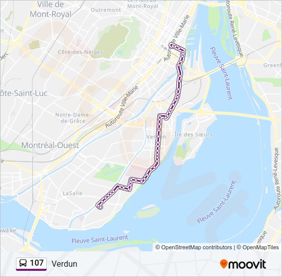 107 Bus Line Map