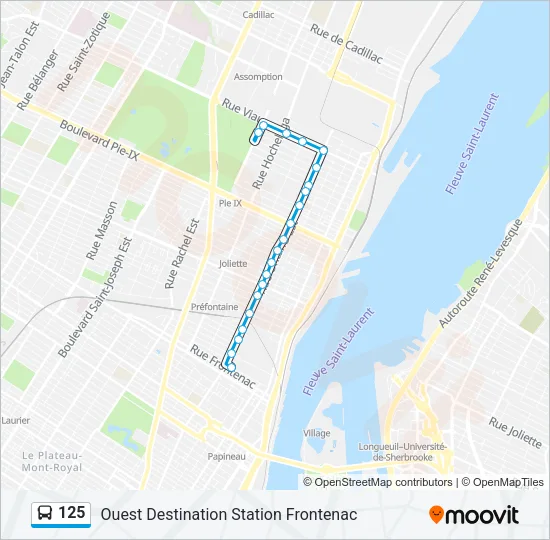 125 Bus Line Map