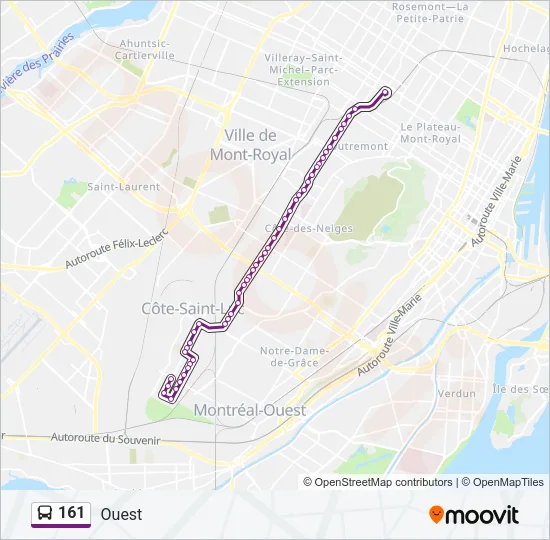 161 Bus Line Map