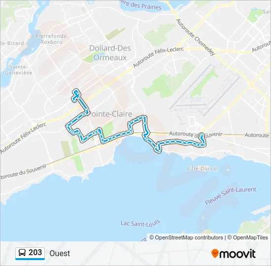 203 Bus Line Map