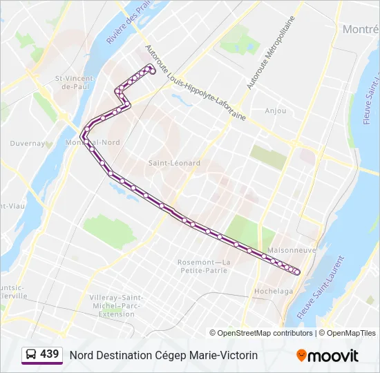 439 Bus Line Map