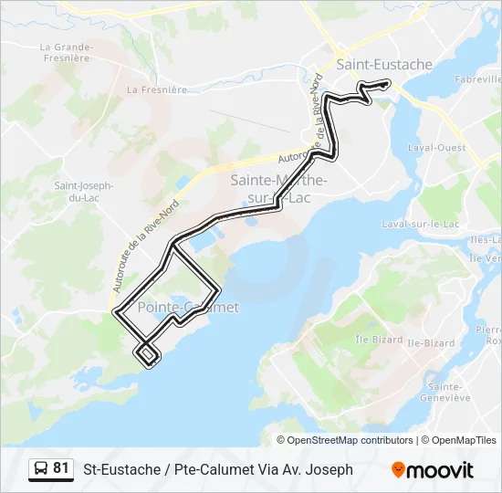 81 Bus Line Map