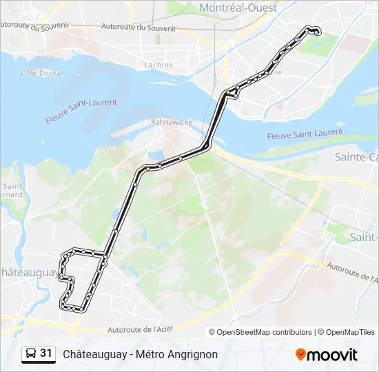 31 Bus Line Map
