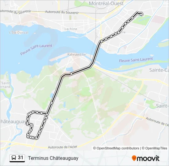 31 Bus Line Map