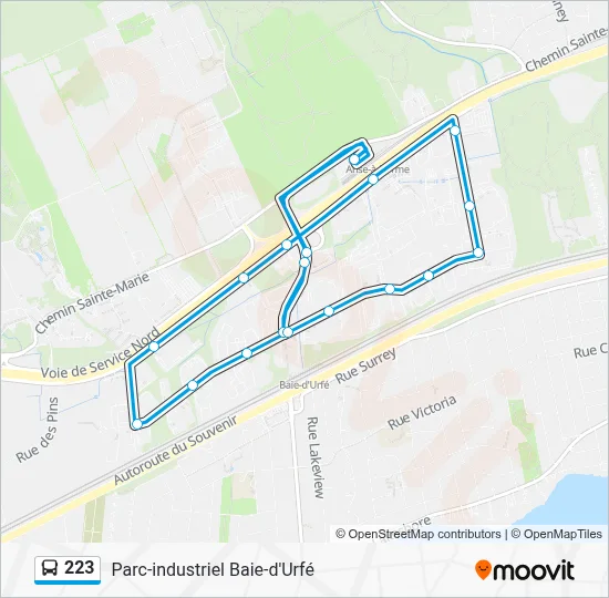 223 Route: Schedules, Stops & Maps - Ouest (Updated)