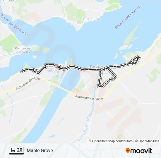 20 Bus Line Map
