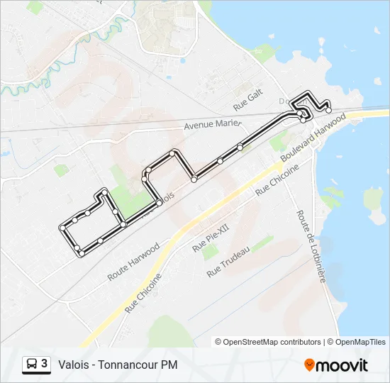 3 Bus Line Map
