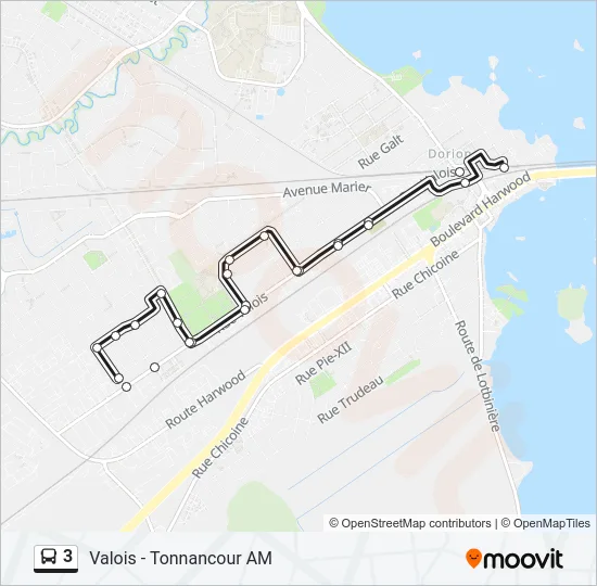 3 Bus Line Map
