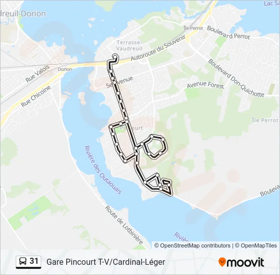 31 Bus Line Map