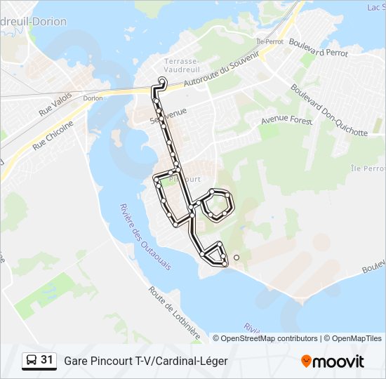 31 Bus Line Map