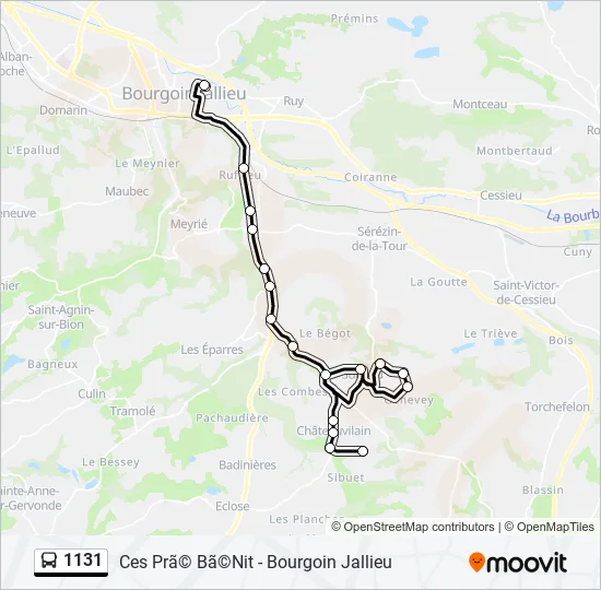 1131 Bus Line Map