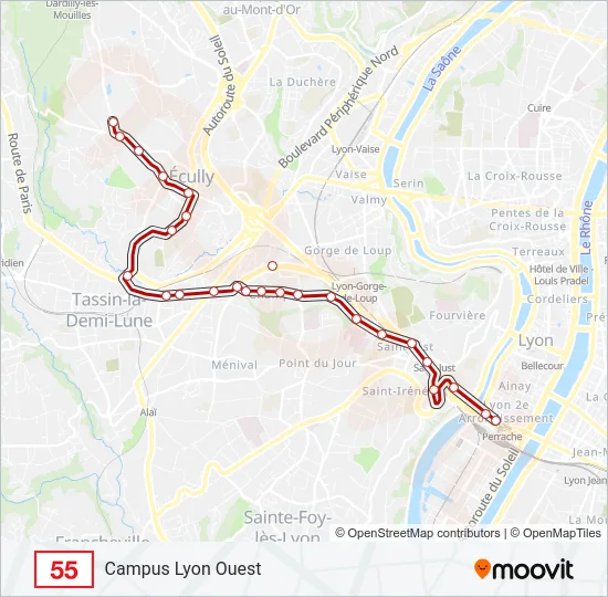 55 Bus Line Map