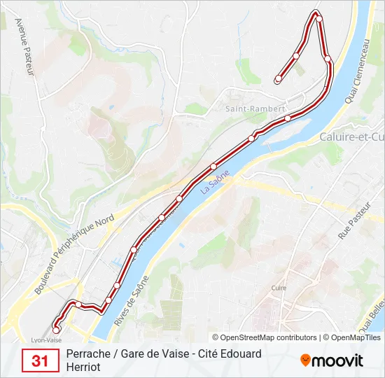 31 Bus Line Map
