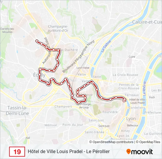 19 Bus Line Map