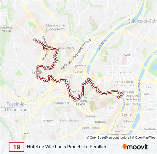 19 Bus Line Map