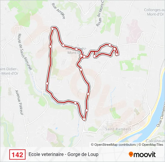 142 Bus Line Map