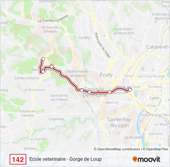 142 Bus Line Map
