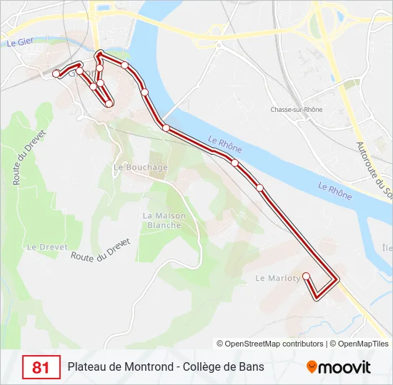 81 Bus Line Map