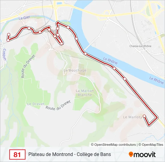 81 Bus Line Map