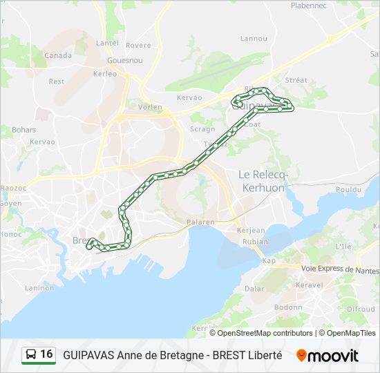 16 Bus Line Map
