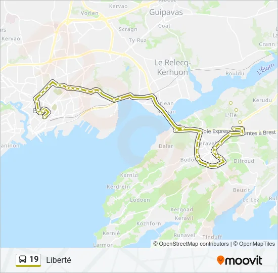 19 Bus Line Map