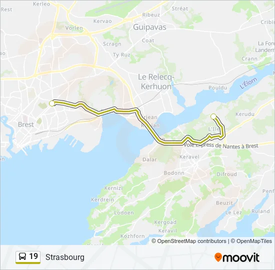 19 Bus Line Map