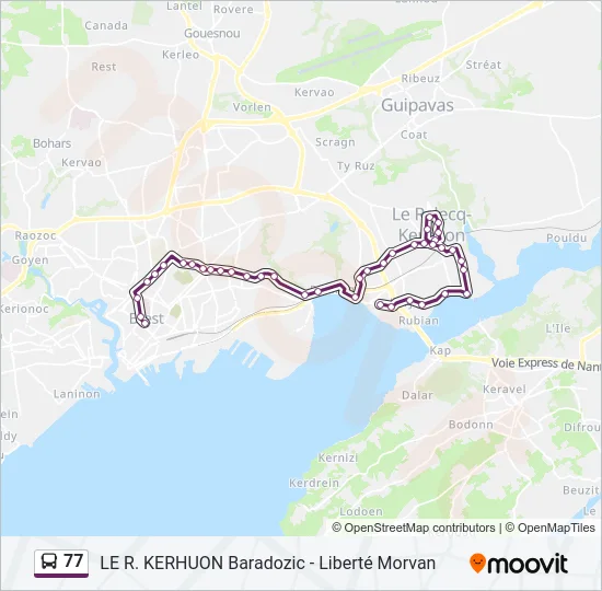 77 Bus Line Map