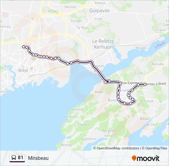 81 Bus Line Map