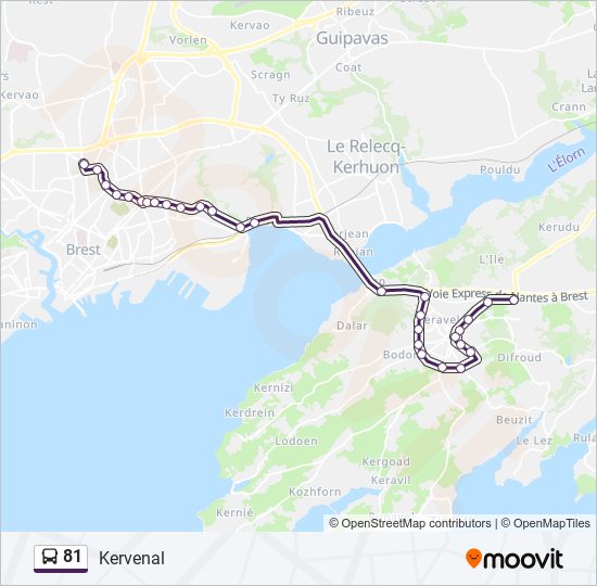 Mapa de 81 de autobús