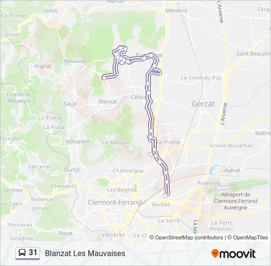 31 Bus Line Map