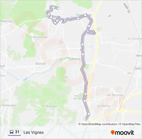 31 Bus Line Map