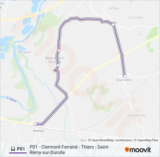 P01 Bus Line Map