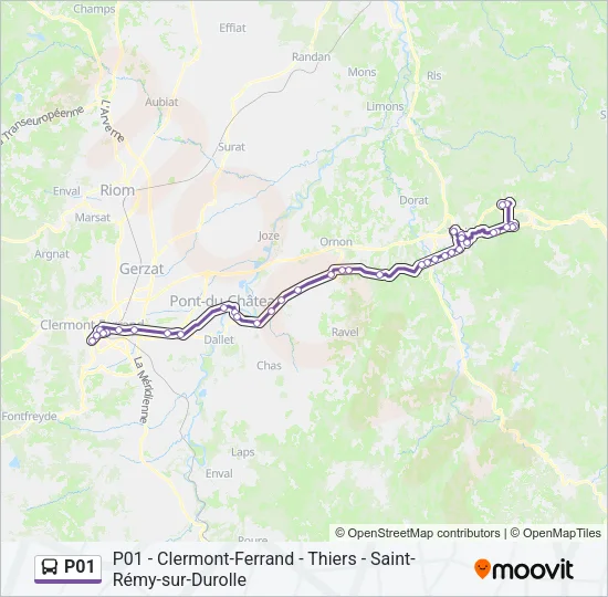 P01 Bus Line Map